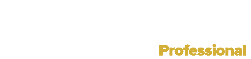 NESAFER.com Professional