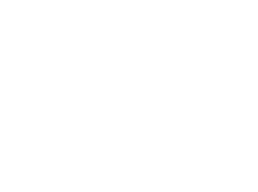 Nesafer